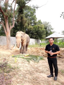 เจ้าของปางช้าง คุณธนบดี พรหมสุข